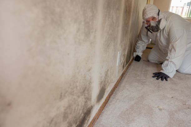 Dehumidification Services in Foster Brook, PA